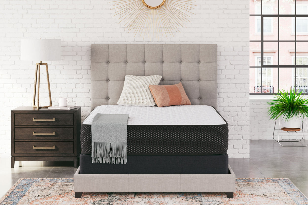 Limited Edition Firm Mattress - Furniture Store