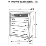 Barzini - 5-drawer Chest