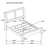 Briana - Upholstered Panel Bed