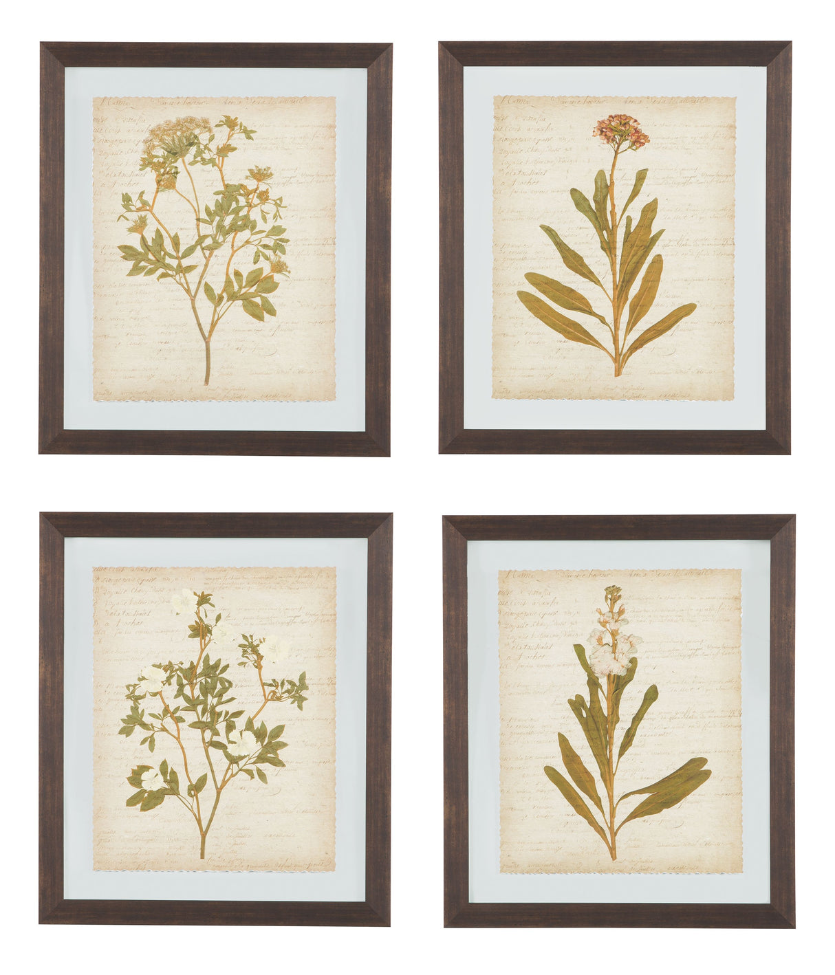 Dyani - Brown - Wall Art Set (Set of 4)