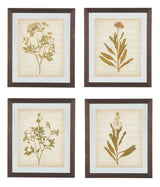 Dyani - Brown - Wall Art Set (Set of 4)